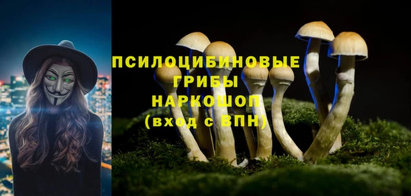 дмт Вязники