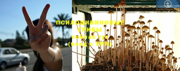 мескалин Вязьма