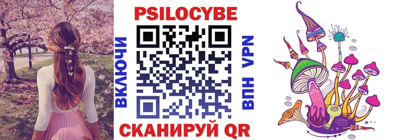 Купить где  Советский  Псилоцибиновые грибы Psilocybe 