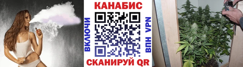 Купить где Советский МАРИХУАНА AK-47